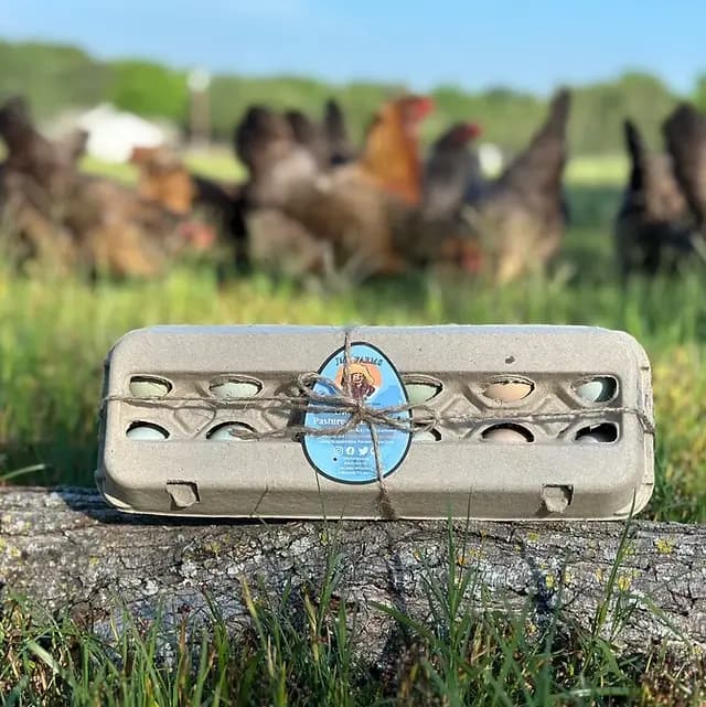 A carton of JMZ Farms eggs with chickens in the pasture behind it